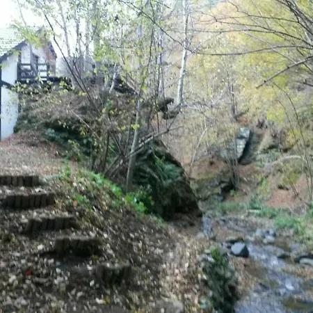 Crenguta Lodge