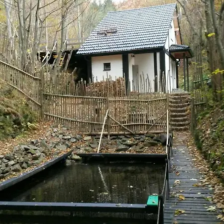 Crenguta